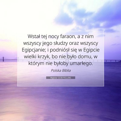 Picture 07 - Wyjścia 12:30 POLUBG - Wstał tej nocy faraon, a z nim wszyscy jego - Bible Verse Picture