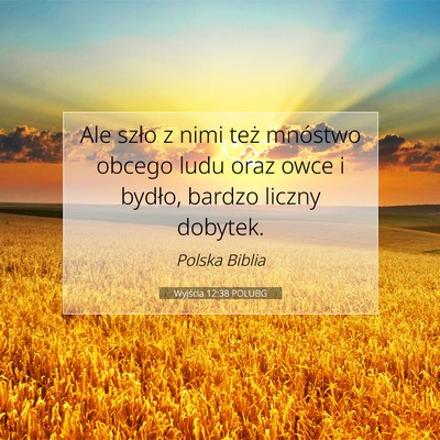 Picture 07 - Wyjścia 12:38 POLUBG - Ale szło z nimi też mnóstwo obcego ludu oraz - Bible Verse Picture
