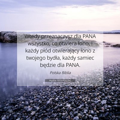 Picture 07 - Wyjścia 13:12 POLUBG - Wtedy przeznaczysz dla PANA wszystko, co otwiera - Bible Verse Picture