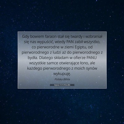 Picture 07 - Wyjścia 13:15 POLUBG - Gdy bowiem faraon stał się twardy i wzbraniał - Bible Verse Picture