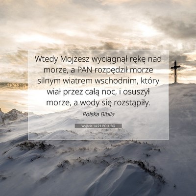 Picture 07 - Wyjścia 14:21 POLUBG - Wtedy Mojżesz wyciągnął rękę nad morze, a - Bible Verse Picture