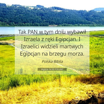 Picture 07 - Wyjścia 14:30 POLUBG - Tak PAN w tym dniu wybawił Izraela z ręki - Bible Verse Picture
