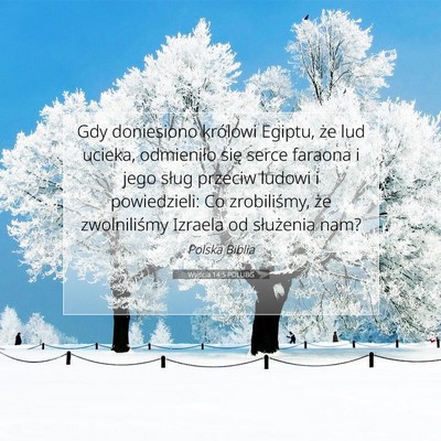 Picture 07 - Wyjścia 14:5 POLUBG - Gdy doniesiono królowi Egiptu, że lud ucieka, - Bible Verse Picture