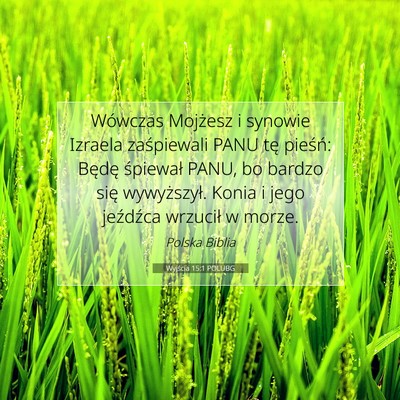 Picture 07 - Wyjścia 15:1 POLUBG - Wówczas Mojżesz i synowie Izraela zaśpiewali - Bible Verse Picture