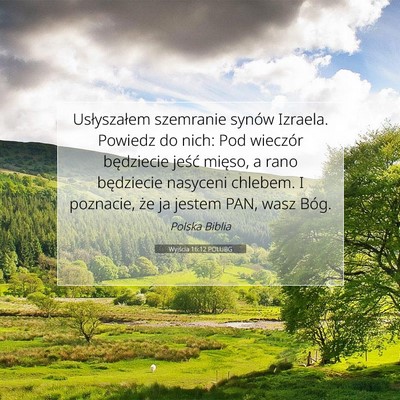 Picture 07 - Wyjścia 16:12 POLUBG - Usłyszałem szemranie synów Izraela. Powiedz do - Bible Verse Picture