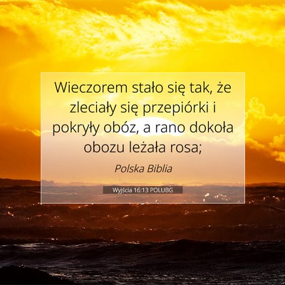 Picture 07 - Wyjścia 16:13 POLUBG - Wieczorem stało się tak, że zleciały się - Bible Verse Picture
