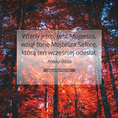 Picture 07 - Wyjścia 18:2 POLUBG - Wtedy Jetro, teść Mojżesza, wziął żonę - Bible Verse Picture