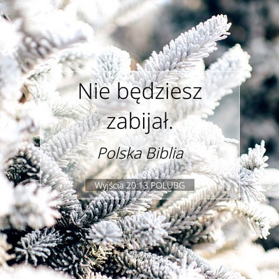 Picture 07 - Wyjścia 20:13 POLUBG - Nie będziesz - Bible Verse Picture