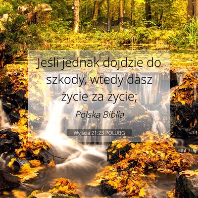 Picture 07 - Wyjścia 21:23 POLUBG - Jeśli jednak dojdzie do szkody, wtedy dasz - Bible Verse Picture