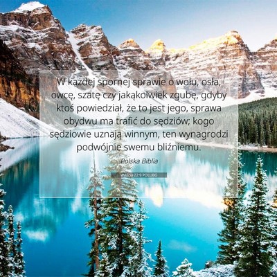Picture 07 - Wyjścia 22:9 POLUBG - W każdej spornej sprawie o wołu, osła, owcę, - Bible Verse Picture
