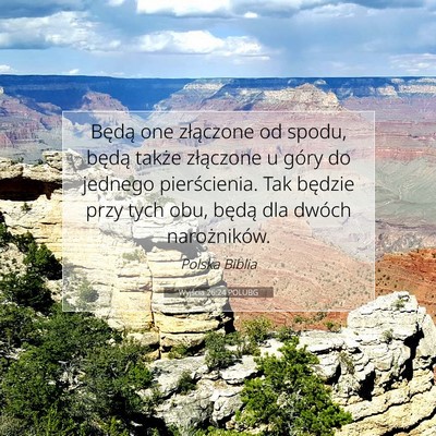 Picture 07 - Wyjścia 26:24 POLUBG - Będą one złączone od spodu, będą także - Bible Verse Picture