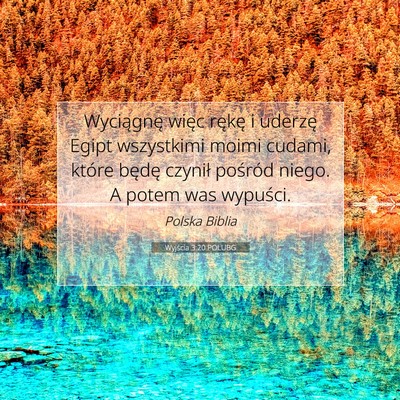 Picture 07 - Wyjścia 3:20 POLUBG - Wyciągnę więc rękę i uderzę Egipt - Bible Verse Picture