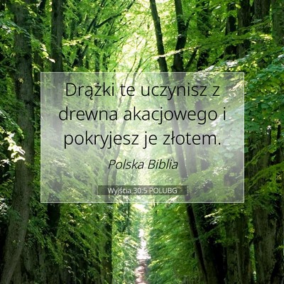 Picture 07 - Wyjścia 30:5 POLUBG - Drążki te uczynisz z drewna akacjowego i - Bible Verse Picture