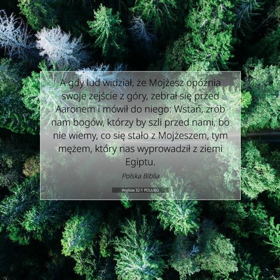 Picture 07 - Wyjścia 32:1 POLUBG - A gdy lud widział, że Mojżesz opóźnia swoje - Bible Verse Picture