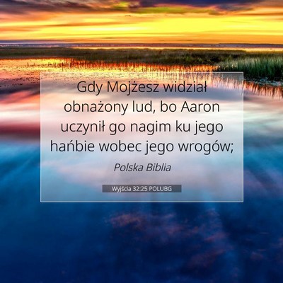Picture 07 - Wyjścia 32:25 POLUBG - Gdy Mojżesz widział obnażony lud, bo Aaron - Bible Verse Picture