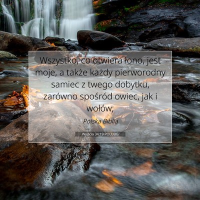 Picture 07 - Wyjścia 34:19 POLUBG - Wszystko, co otwiera łono, jest moje, a także - Bible Verse Picture