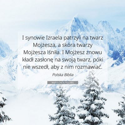Picture 07 - Wyjścia 34:35 POLUBG - I synowie Izraela patrzyli na twarz Mojżesza, a - Bible Verse Picture