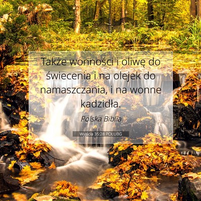 Picture 07 - Wyjścia 35:28 POLUBG - Także wonności i oliwę do świecenia i na - Bible Verse Picture