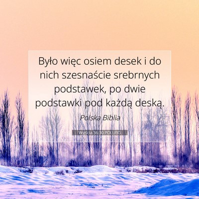 Picture 07 - Wyjścia 36:30 POLUBG - Było więc osiem desek i do nich szesnaście - Bible Verse Picture