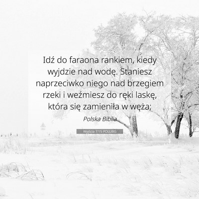 Picture 07 - Wyjścia 7:15 POLUBG - Idź do faraona rankiem, kiedy wyjdzie nad wodę. - Bible Verse Picture