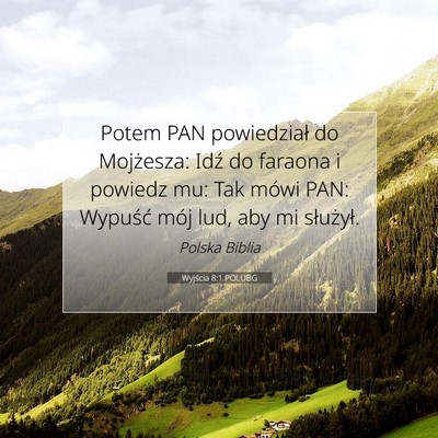 Picture 07 - Wyjścia 8:1 POLUBG - Potem PAN powiedział do Mojżesza: Idź do - Bible Verse Picture
