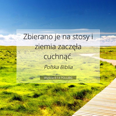 Picture 07 - Wyjścia 8:14 POLUBG - Zbierano je na stosy i ziemia zaczęła - Bible Verse Picture