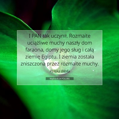 Picture 07 - Wyjścia 8:24 POLUBG - I PAN tak uczynił. Rozmaite uciążliwe muchy - Bible Verse Picture