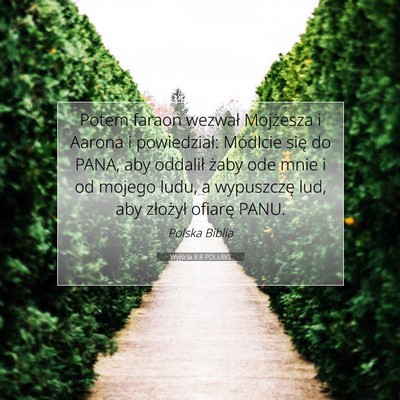 Picture 07 - Wyjścia 8:8 POLUBG - Potem faraon wezwał Mojżesza i Aarona i - Bible Verse Picture