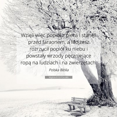 Picture 07 - Wyjścia 9:10 POLUBG - Wzięli więc popiół z pieca i stanęli przed - Bible Verse Picture