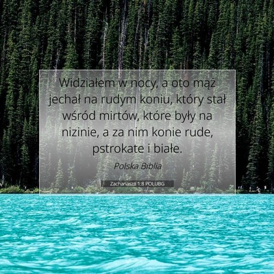 Picture 07 - Zachariasza 1:8 POLUBG - Widziałem w nocy, a oto mąż jechał na rudym - Bible Verse Picture