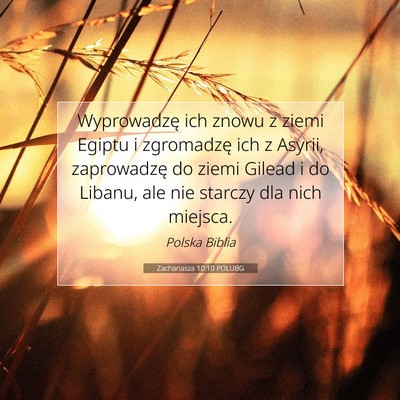 Picture 07 - Zachariasza 10:10 POLUBG - Wyprowadzę ich znowu z ziemi Egiptu i zgromadzę - Bible Verse Picture