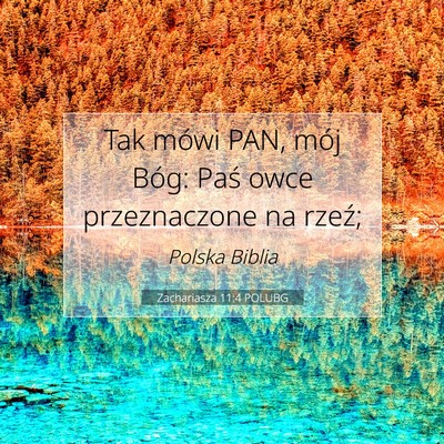 Picture 07 - Zachariasza 11:4 POLUBG - Tak mówi PAN, mój Bóg: Paś owce przeznaczone - Bible Verse Picture