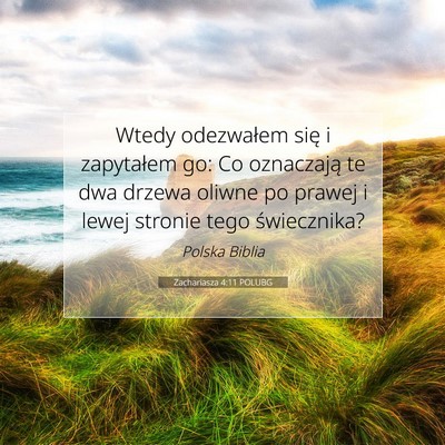 Picture 07 - Zachariasza 4:11 POLUBG - Wtedy odezwałem się i zapytałem go: Co - Bible Verse Picture