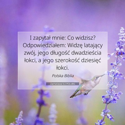 Picture 07 - Zachariasza 5:2 POLUBG - I zapytał mnie: Co widzisz? Odpowiedziałem: - Bible Verse Picture