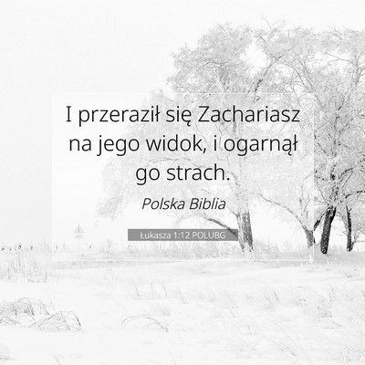 Picture 07 - Łukasza 1:12 POLUBG - I przeraził się Zachariasz na jego widok, i - Bible Verse Picture