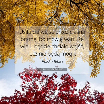 Picture 07 - Łukasza 13:24 POLUBG - Usiłujcie wejść przez ciasną bramę, bo - Bible Verse Picture