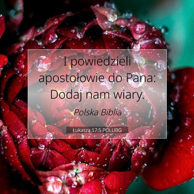 Picture 07 - Łukasza 17:5 POLUBG - I powiedzieli apostołowie do Pana: Dodaj nam - Bible Verse Picture
