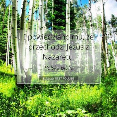 Picture 07 - Łukasza 18:37 POLUBG - I powiedziano mu, że przechodzi Jezus z - Bible Verse Picture