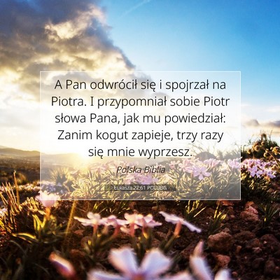 Picture 07 - Łukasza 22:61 POLUBG - A Pan odwrócił się i spojrzał na Piotra. I - Bible Verse Picture