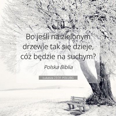 Picture 07 - Łukasza 23:31 POLUBG - Bo jeśli na zielonym drzewie tak się dzieje, - Bible Verse Picture