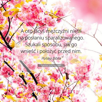 Picture 07 - Łukasza 5:18 POLUBG - A oto jacyś mężczyźni nieśli na posłaniu - Bible Verse Picture
