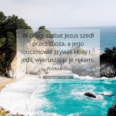 Picture 07 - Łukasza 6:1 POLUBG - W drugi szabat Jezus szedł przez zboża, a jego - Bible Verse Picture