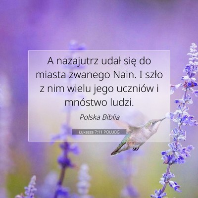 Picture 07 - Łukasza 7:11 POLUBG - A nazajutrz udał się do miasta zwanego Nain. I - Bible Verse Picture
