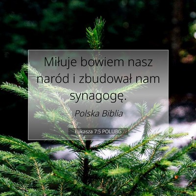 Picture 07 - Łukasza 7:5 POLUBG - Miłuje bowiem nasz naród i zbudował nam - Bible Verse Picture