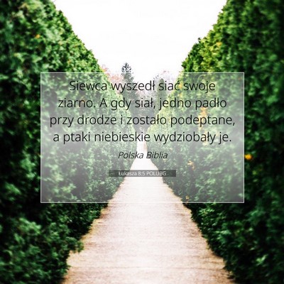 Picture 07 - Łukasza 8:5 POLUBG - Siewca wyszedł siać swoje ziarno. A gdy siał, - Bible Verse Picture