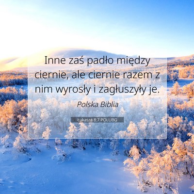 Picture 07 - Łukasza 8:7 POLUBG - Inne zaś padło między ciernie, ale ciernie - Bible Verse Picture