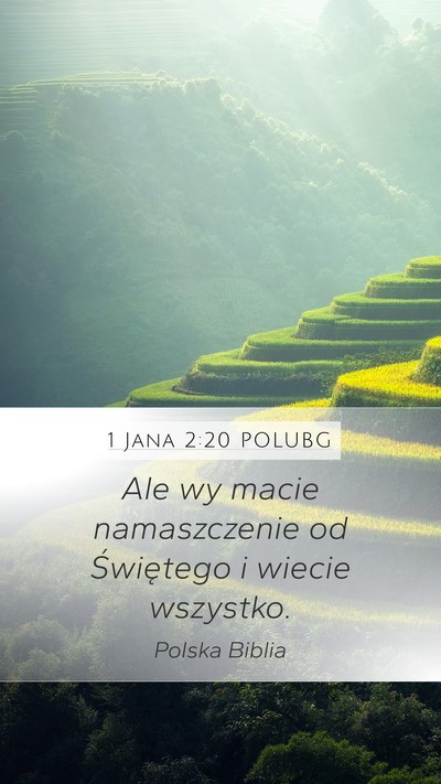 1 Jana 2:20 POLUBG Bible Verse Image