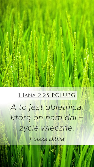 1 Jana 2:25 POLUBG Bible Verse Image