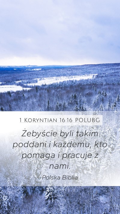 1 Koryntian 16:16 POLUBG Bible Verse Image