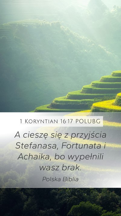 1 Koryntian 16:17 POLUBG Bible Verse Image